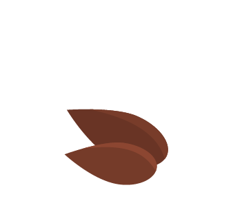 بذور